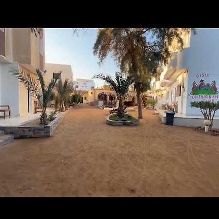 Oasis Fighting Kangaroo Dahab Exterior foto