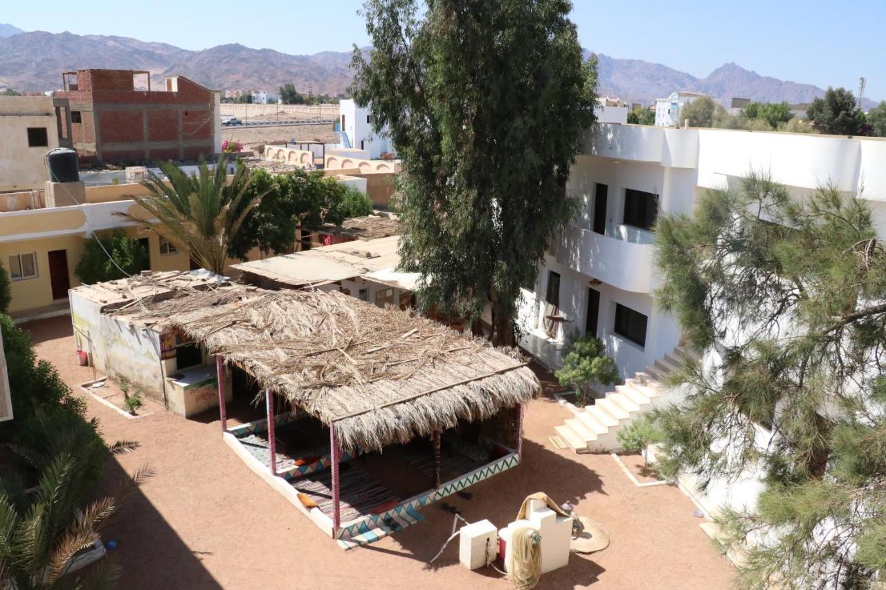 Oasis Fighting Kangaroo Dahab Exterior foto