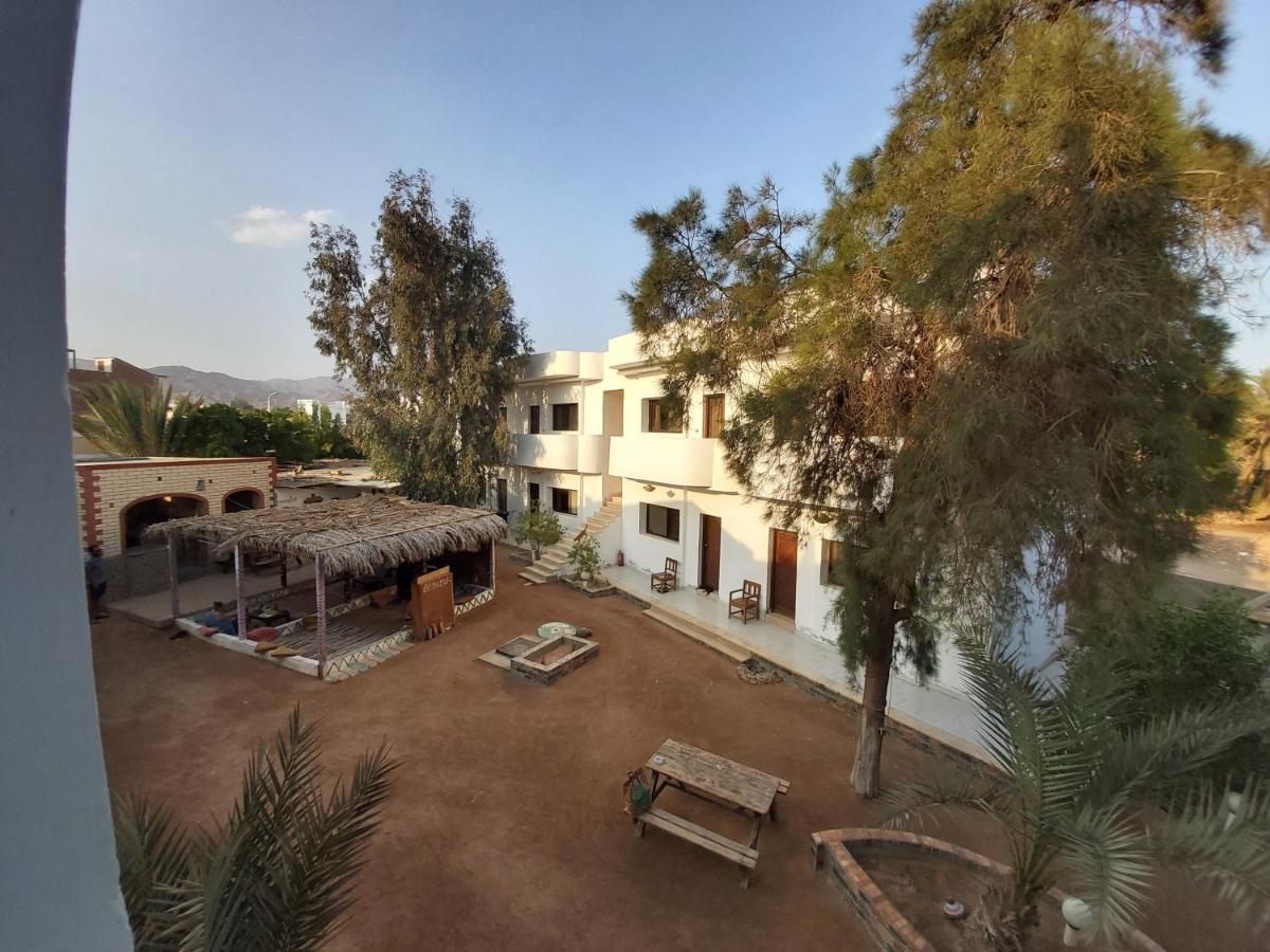 Oasis Fighting Kangaroo Dahab Exterior foto