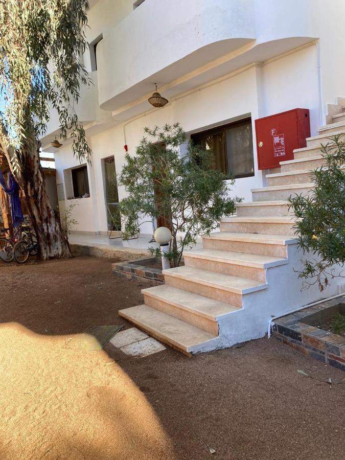 Oasis Fighting Kangaroo Dahab Exterior foto