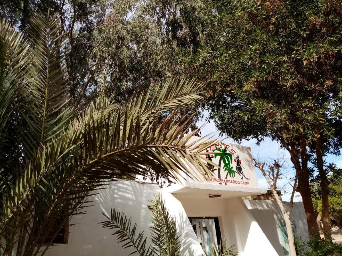 Oasis Fighting Kangaroo Dahab Exterior foto